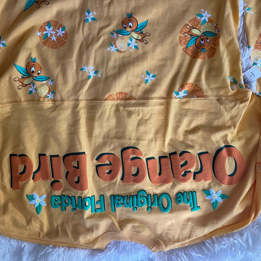 Epcot Disney Spirit Jersey
